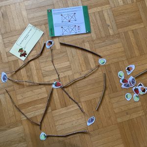 Informatik Biber:<br>Ausgewählte Graph Biber Karten